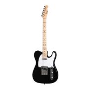 Homage HEG350BK Электро-гитара под Telecaster
