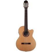  R65CWC-w/bag Performer Series Rondo Электро-акустическая классическая гитара, с чехлом