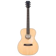  R35E-w/case Steel-String Series Акустическая гитара