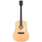 R30E-w/case Steel-String Series Электро-акустическая гитара
