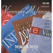  GS100 Viennese Melange Комплект струн для скрипки размером 4/4