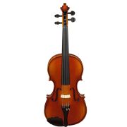  A100-15,0 Rhapsody Student Альт студенческий