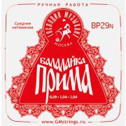  BP29N PROFI 