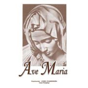 Тебина Е. Ave Maria, издательство 