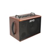  BSK-80 Комбоусилитель для акустической гитары, 80Вт